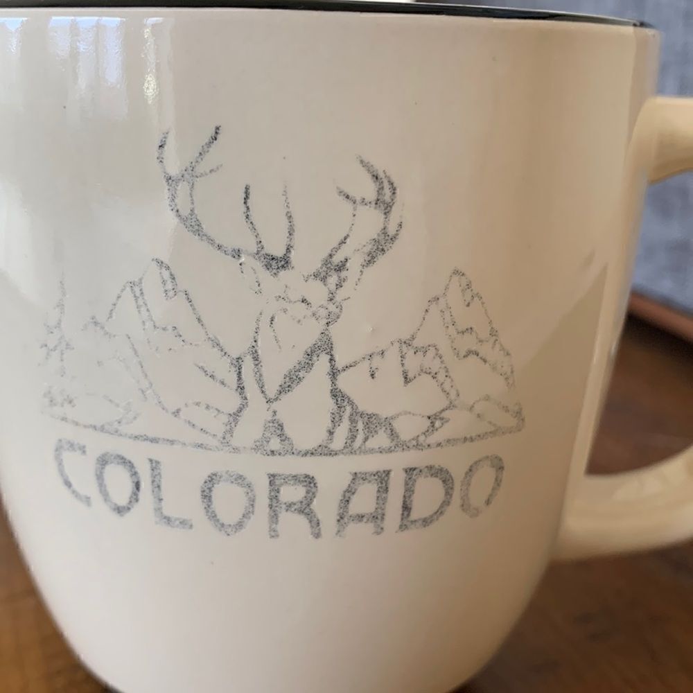 Vintage Colorado Mountains etched ceramic cream coffee tea mug